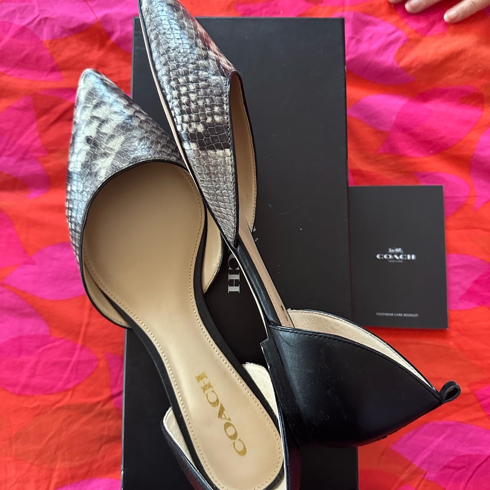 Coach Jameson lux flats python - Picture 2 of 5